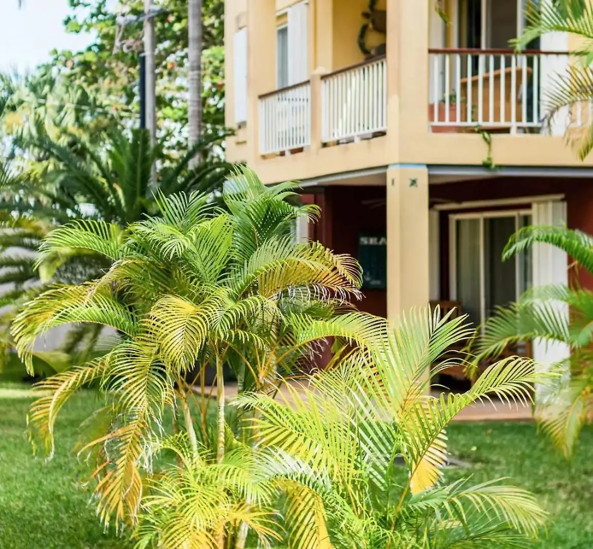 Luxury Island Life Apartment Cozumel